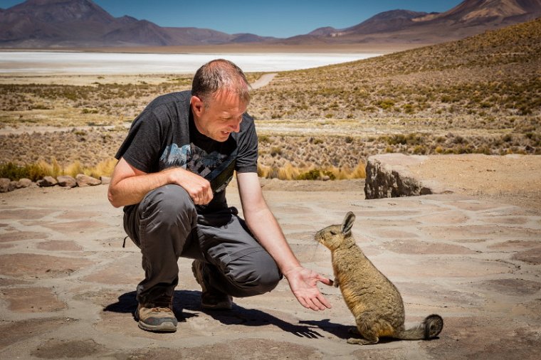 034 Salar de Surire, Viscacha.jpg